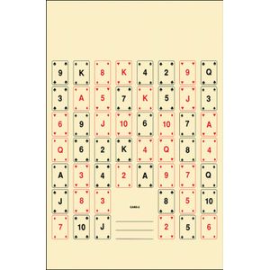 Action Target CARD2100 Playing Card #2 52 Playing Cards Paper Target 22.50" x 24" 100 Per Box